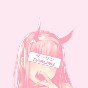 Meet your Posher, Andres